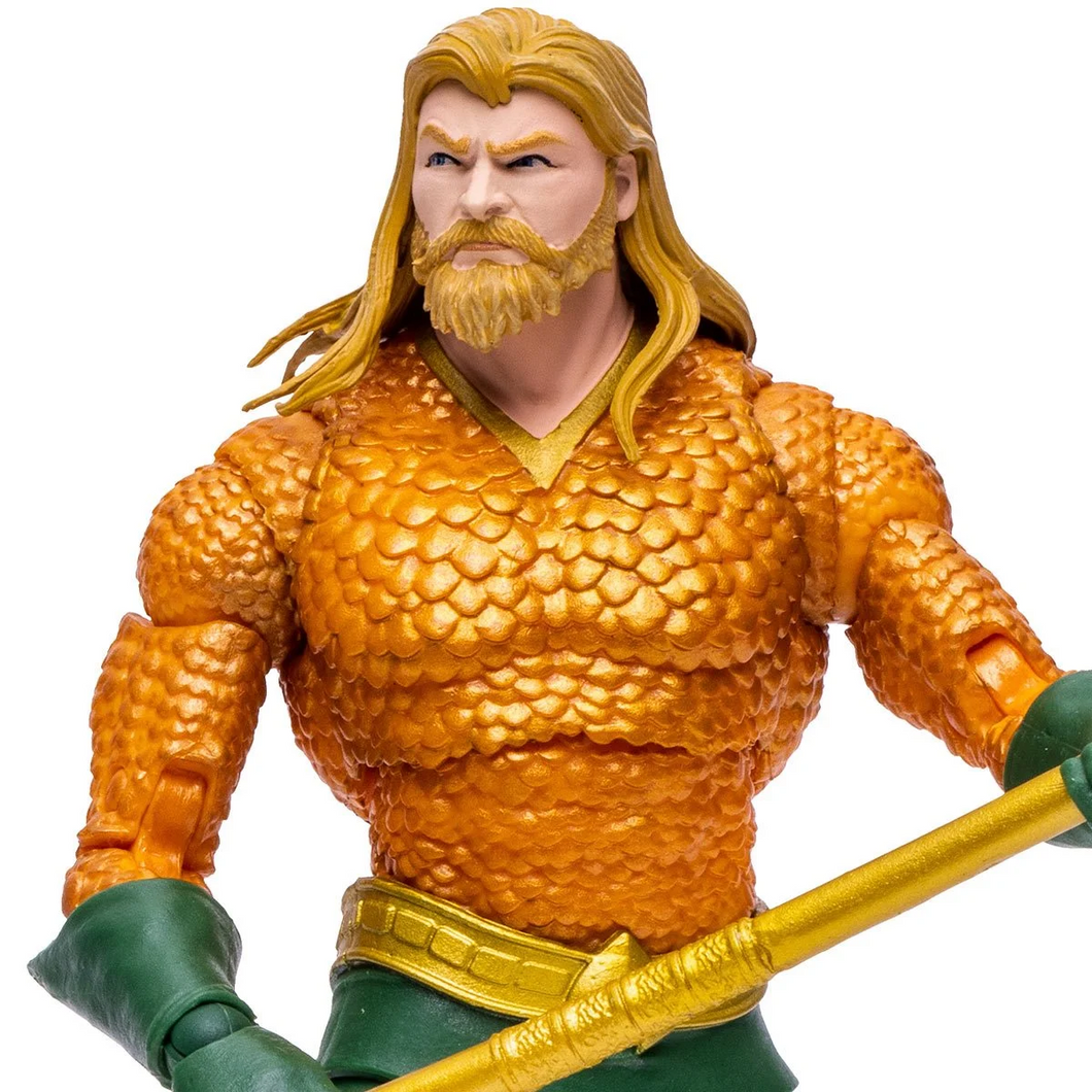 DC Multiverse Aquaman Endless Winter