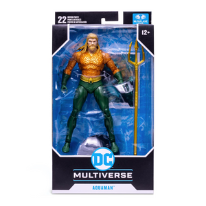 DC Multiverse Aquaman Endless Winter